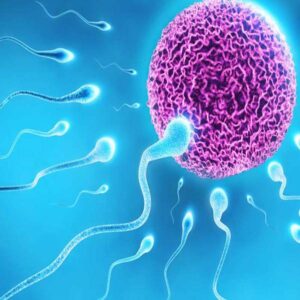 10 ways to increase sperm count and male fertility12 300x300 - 10 راهکار برای افزایش تعداد اسپرم و باروری مردان