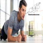 روش های افزایش سطح تستسترون در بدن چیست؟