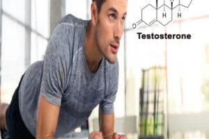 روش های افزایش سطح تستسترون در بدن چیست؟